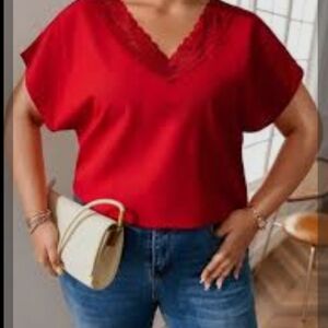 SHEIN Scarlet V-Neck Blouse with Lace Detail